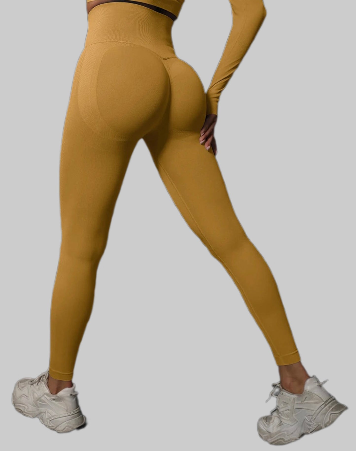 Gym Pants High Waist