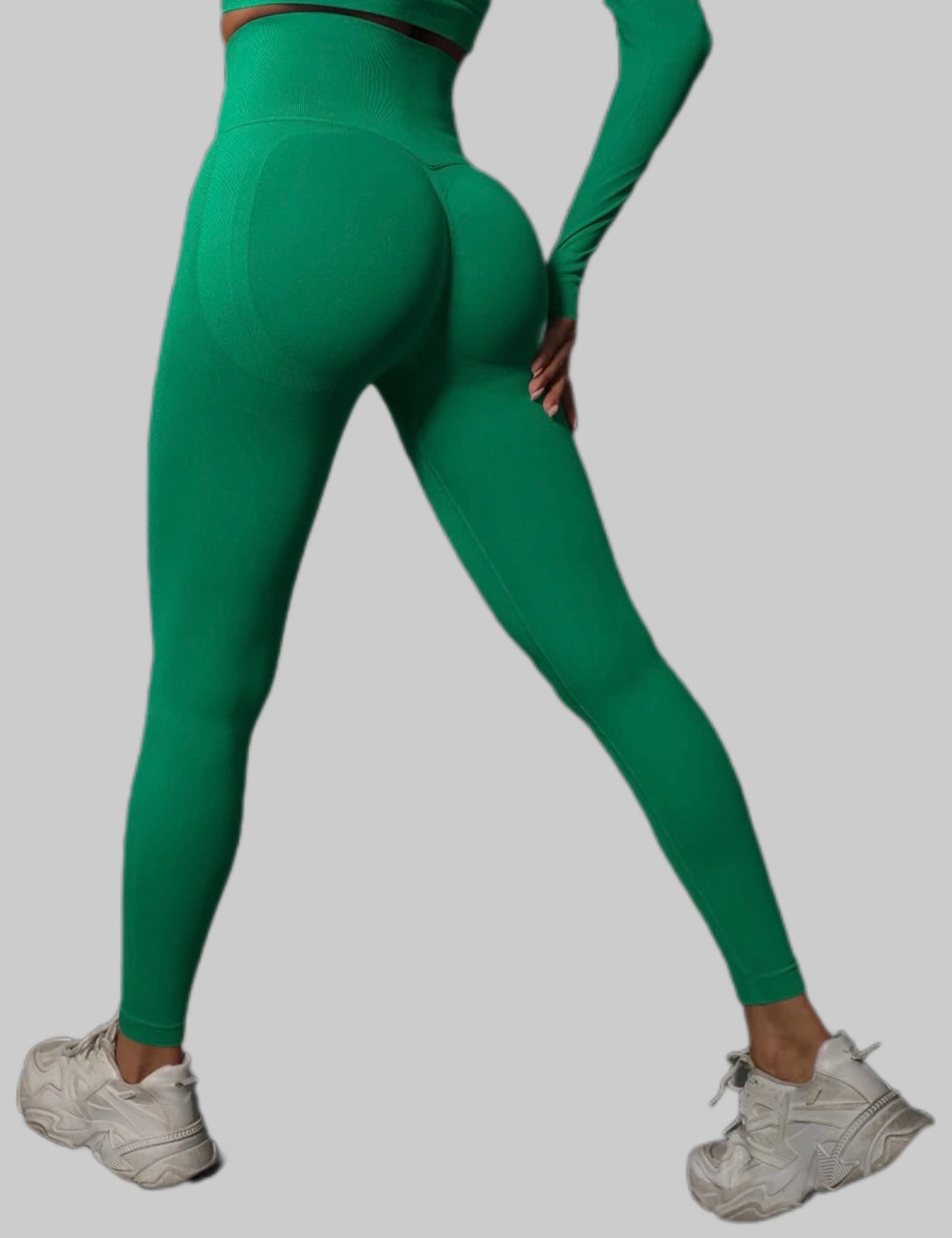 Gym Pants High Waist