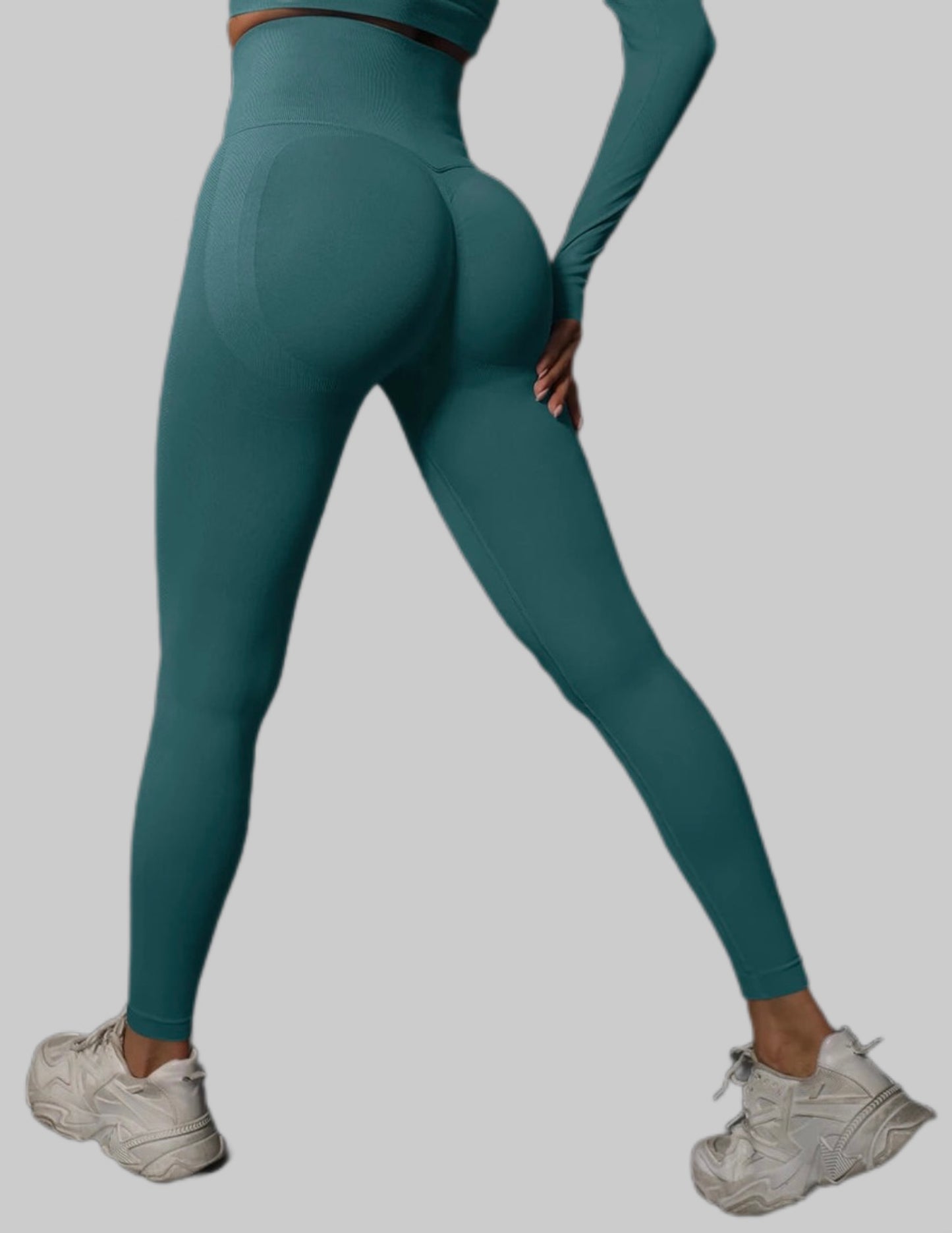 Gym Pants High Waist