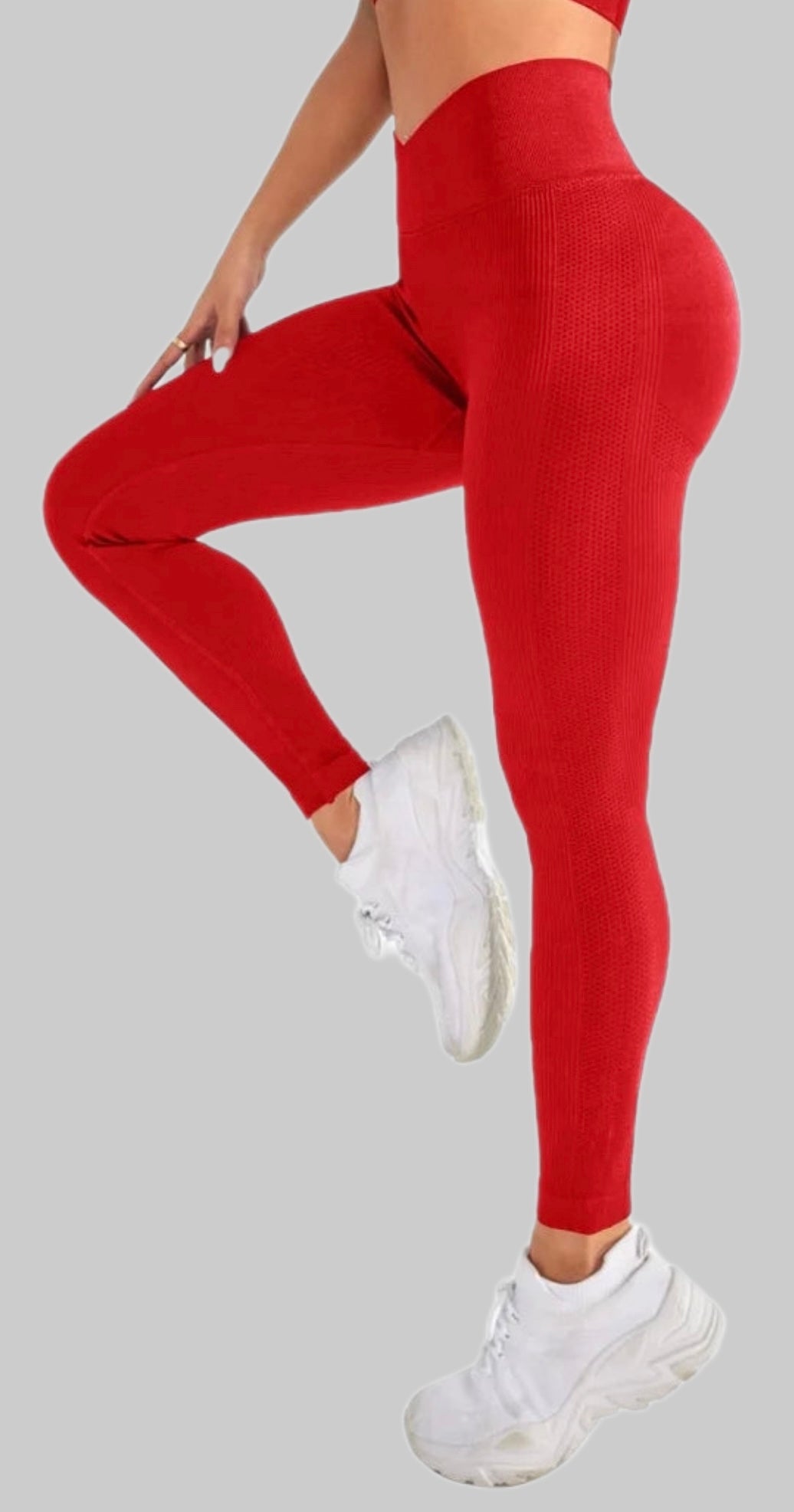 Gym Pants V-Waist