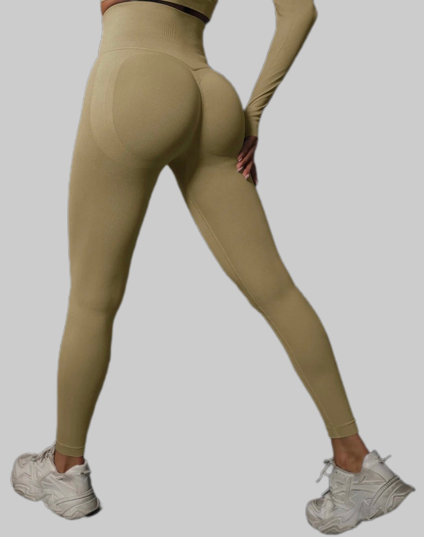 Gym Pants High Waist